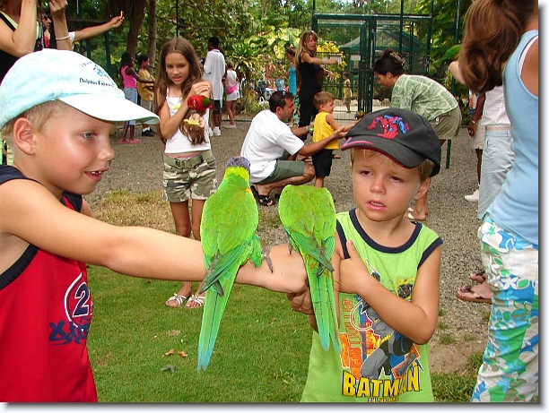 Click for the original image